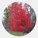 Search for burn stickers Red