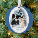 Search for papillon christmas cards Xmas