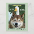 Search for doge postcards Shiba inu