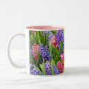 Search for hyacinth mugs Flowers