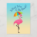 Search for flamingo beach postcards Whimsical