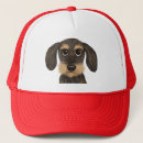 Search for cartoonize hats Dog