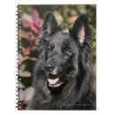 Search for german shepherd notebooks Panting