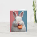 Search for carrot cards Rabbit