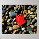 Search for east coast posters Maine