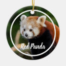 Search for china christmas tree decorations Red panda