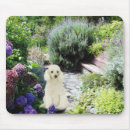 Search for toy electronics Dog