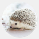 Search for baby hedgehog stickers Cute