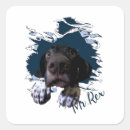 Search for german shorthaired pointer stickers Pet