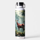 Search for okapi Wildlife