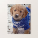 Search for golden retriever puzzles Puppy