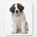 Search for bernard electronics Puppy