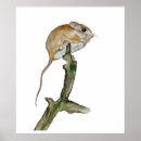 Search for mouse tree posters Watercolor