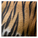 Search for tiger face tiles Stripes