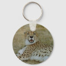 Search for cheetah key rings Nature