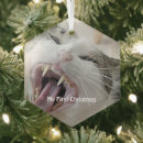 Search for crazy christmas tree decorations Cats