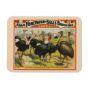 Search for vintage circus magnets Lithograph