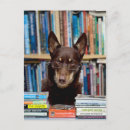 Search for reading glasses postcards Cute