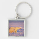 Search for nwr key rings Wildlife