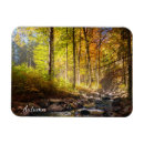 Search for fall trees magnets Season