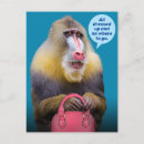 Search for baboon postcards Funny