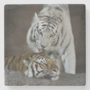 Search for tigers barware Brown