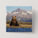 Search for ursus badges Steve kazlowski