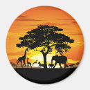 Search for animal magnets Africa
