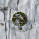 Search for ornithology badges Avian