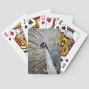 Search for fowl games Nature
