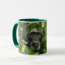 Search for chimp coffee mugs Wildlife