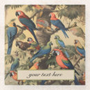 Search for ornithological For her