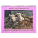 Search for sheep calendars Lamb