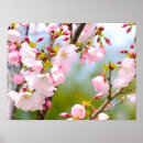 Search for blooming sakura tree art For her