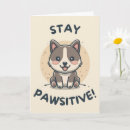 Search for funny motivational cards Positivity