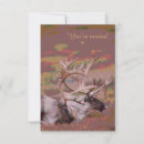 Search for caribe invitations Caribou