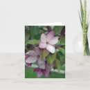 Search for apple blossom birthday cards Pink
