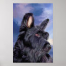 Search for scottish terrier posters Puppy