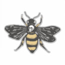 Search for killer bee Honey
