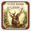 Search for deer in woods stickers Buck