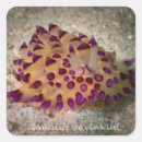 Search for slug stickers Sea