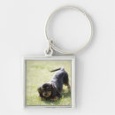 Search for concentration key rings Side view