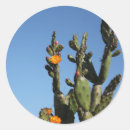 Search for cactus flower stickers Prickly