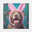 Search for bunny ears magnets Pet