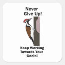 Search for bird with red head stickers Wildlife