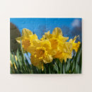 Search for daffodil puzzles Garden