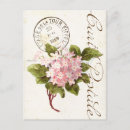 Search for pink hydrangea postcards Floral