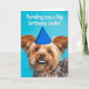 Search for funny yorkie cards Yorkshire terrier
