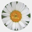 Search for daisy wedding stickers Summer