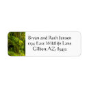 Search for waterfall return address labels Scenic